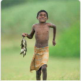 Unit 11: Reason and Emotion