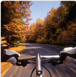 Unit 6: Body Matters