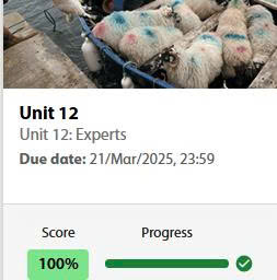 UNIT 12 [Experts]