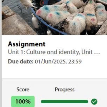 UNIT 1 [Culture and identity]